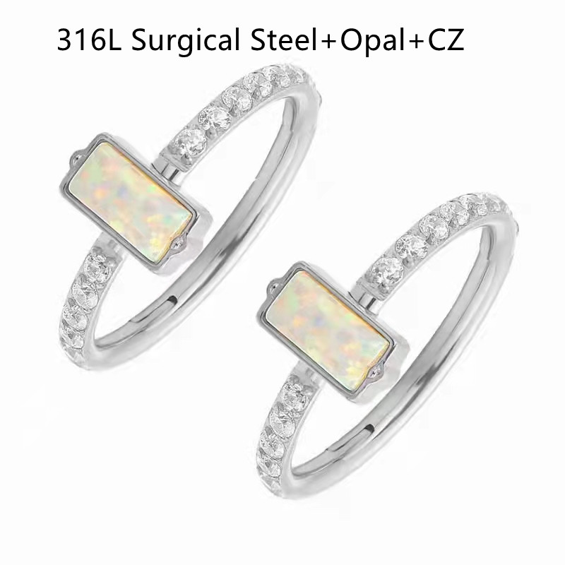 10 قطعة 316L الجراحية الصلب أو - مراجعة Clicker Ring Seamless وسعره