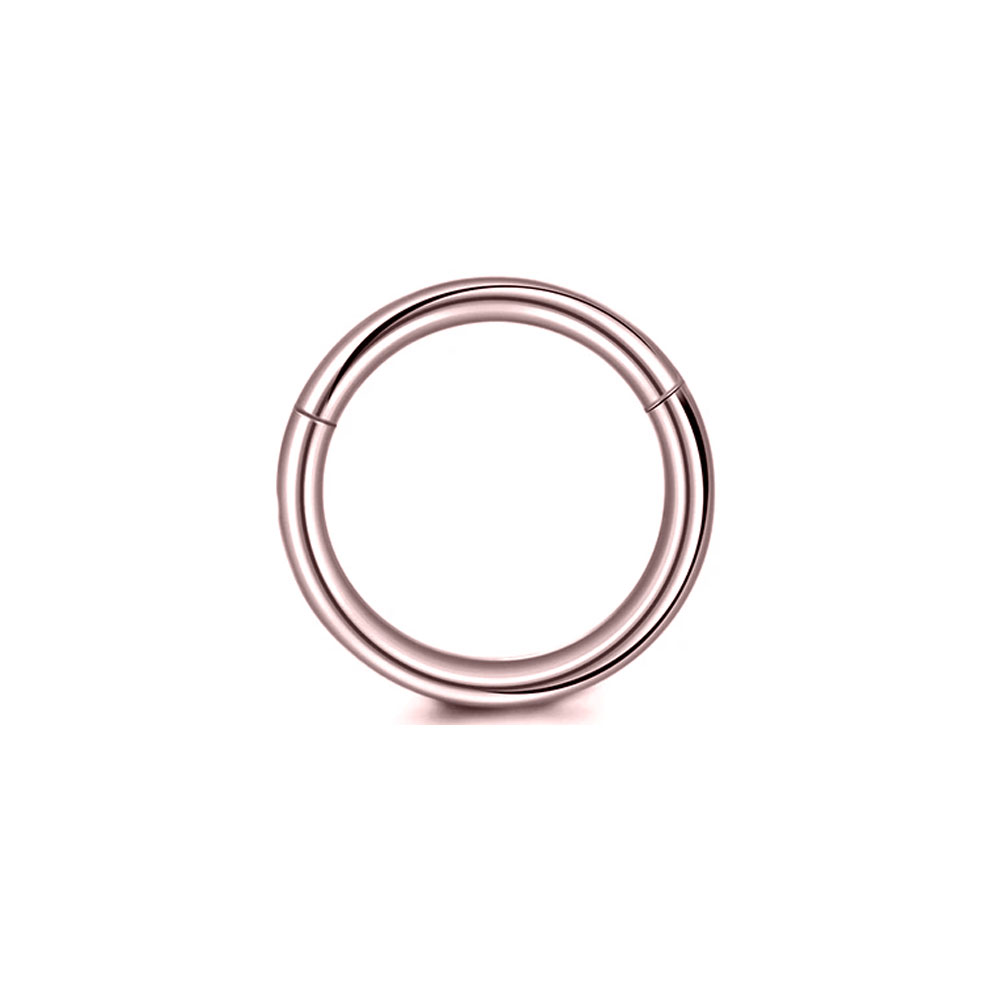 316L الجراحية الصلب الفرس الجز - مراجعة Conch Earring Hoop وسعره